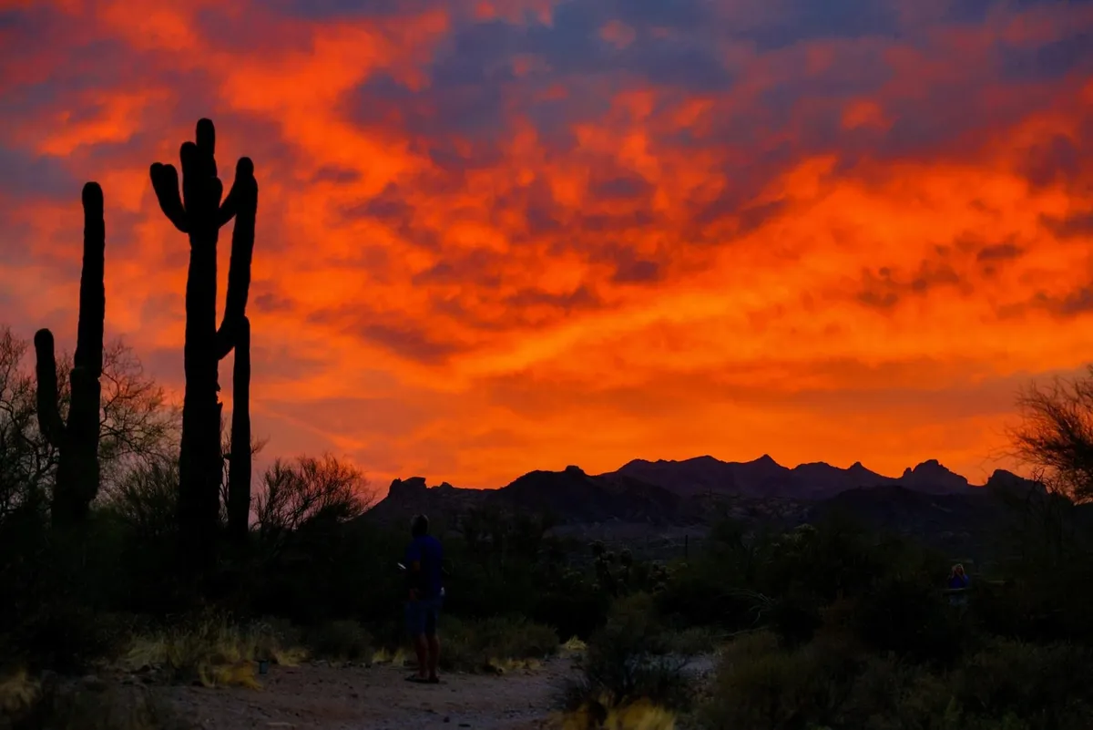 A dramatic desert landscape at sunset, with iconic cacti silhouetted against a vibrant sky and distant mountains. A person stands quietly, capturing the spirit of exploration and the local environment unique to Surprise, Arizona.