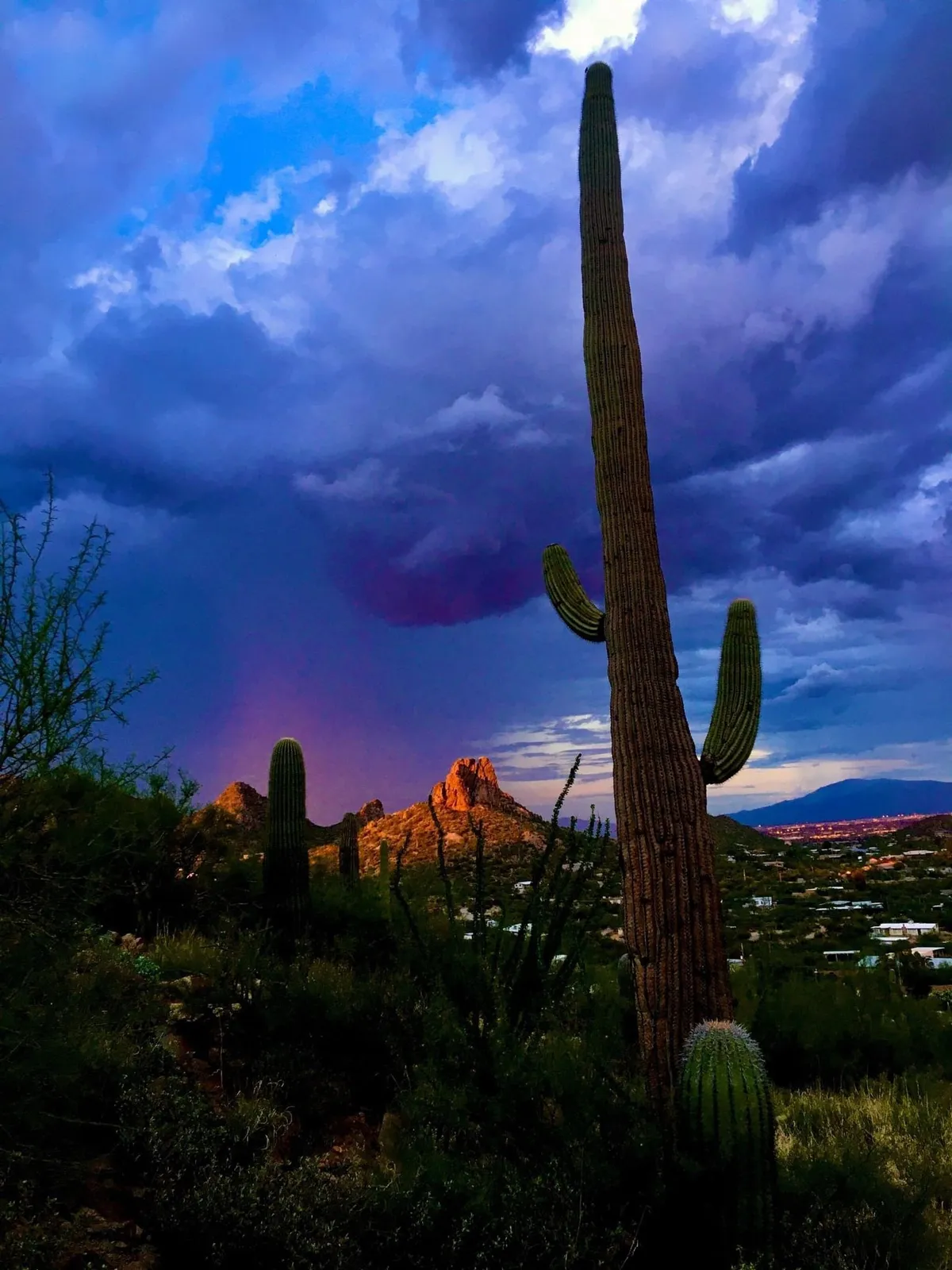 This image features a tall cactus in the foreground, a rugged rocky mountain peak in the distance, and a dramatic sky overhead. The landscape captures the quintessential Sonoran desert environment, suggesting adventure and natural beauty.